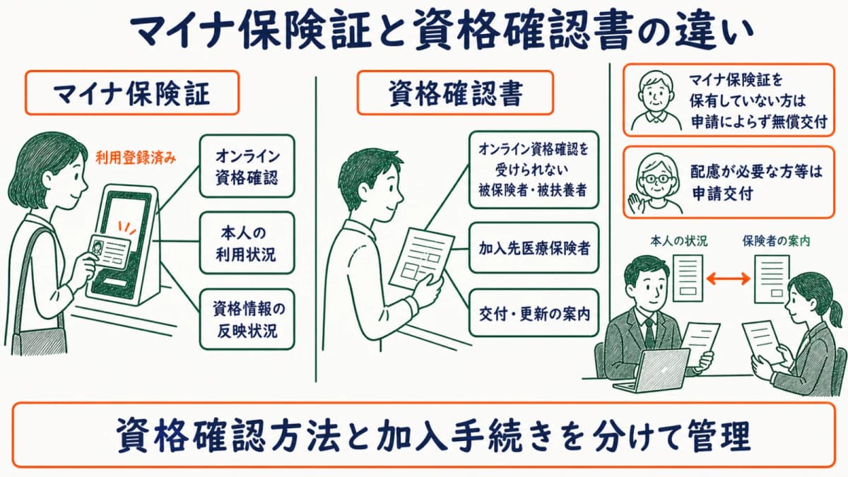 マイナ保険証と資格確認書の役割・利用場面・確認先を並べた比較図